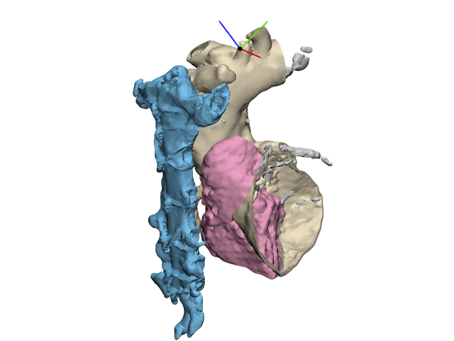 case0113