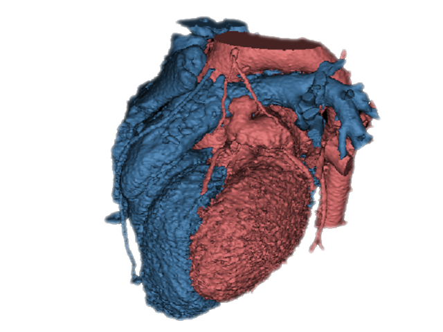 case0119