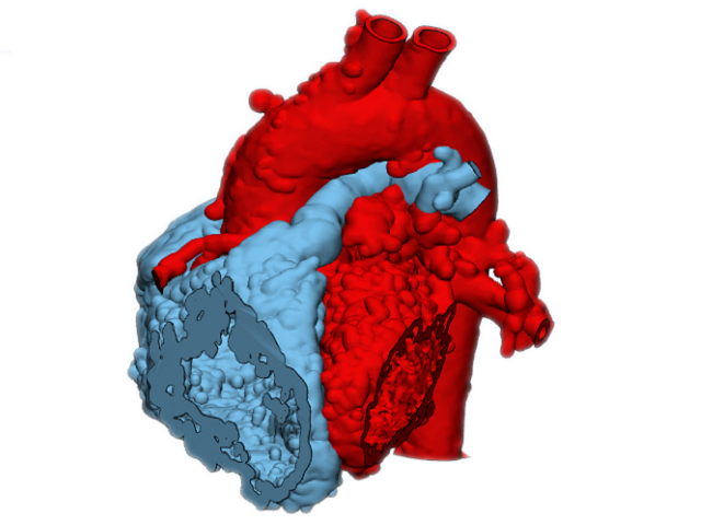 case0059